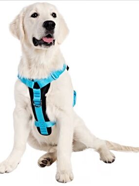 🆕 Pet Krewe Sesame Street Chalkboard
Essentials Pet Harness